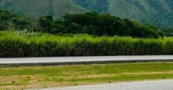Terrenos Disponibles San Diego – Yagua