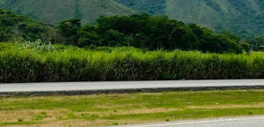 Terrenos Disponibles San Diego – Yagua