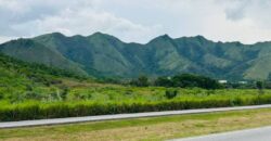 Terrenos Disponibles San Diego – Yagua